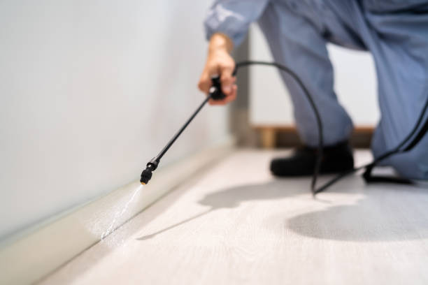 Licensed Pest Control service in St. Rose, LA - Show Me Pest Control