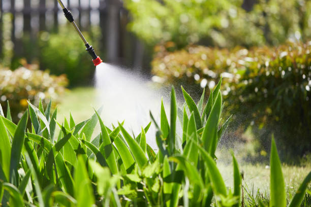 Tamper-Resistant Bait Stations for Rodents in St. Rose