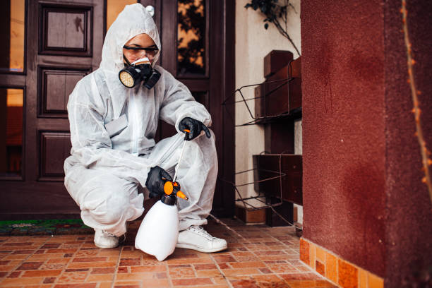 Attic and Crawl Space Rodent Treatment in St. Rose