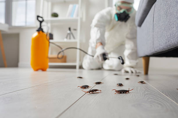 Commercial Rodent Management in St. Rose